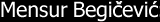 mensur.gif (1779 bytes)